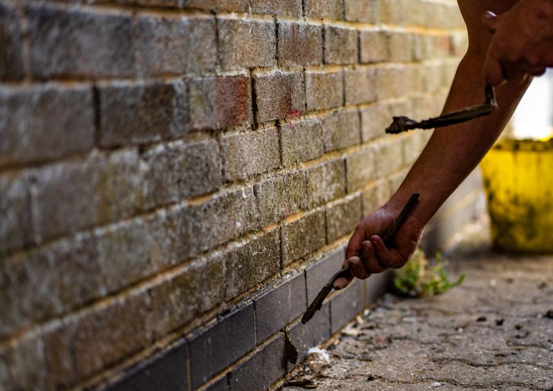 Brick Repair Process